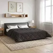 vidaXL Poletna odeja Antracit 200 x 200 cm Mikrofibra in Teddy flis
