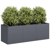vidaXL Sadilnik Antracit 120x40x40 cm Hladno valjano jeklo
