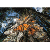Clementoni Sestavljanka National Geographic: Milijoni metuljev monarhov potujejo na prezimovališča v Mehiki 1000 kosov