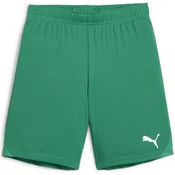 Puma Kratke hlače teamGOAL Shorts Jr