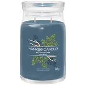 Yankee Candle Yankee Candle vonná svíčka Signature ve skle střední Bayside Cedar 368g