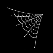 Pajkova mreža, dekoracija noč čarovnic - 5 x 4,8 m