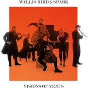Spark - Visions Of Venus (LP)