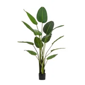 Umetna rastlina (višina 185 cm) Sterilizia – Bizzotto