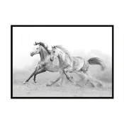 shumee PLAKAT V OKVIRJU 43x33 cm Konji P904