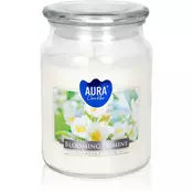 BISPOL Premium Line Jasmine dišeča sveča 500 g