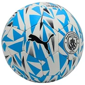Puma Žoge nogometni čevlji 5 08462402