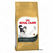 Royal Canin Norwegian Forest Cat - ekonomično pakiranje: 2 x 10 kg