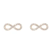 Uhani Daniel Wellington DW00401615