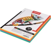 Papir barvni mix a4 80g intenziv optima 1/250 OPTIMA