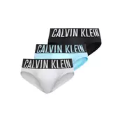 Calvin Klein Spodnje hlačke  svetlo modra / svetlo siva / črna / bela