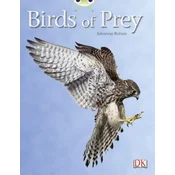 BC NF White A/2A Birds of Prey