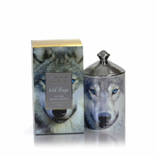 Ashleigh & Burwood Božična dišeča sveča WILD THINGS - BELI BOŽIČ (beli božič) 320 ml, VELIKI STE