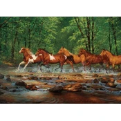 Cobble Hill - Puzzle Spring Creek Run - 1 000 kosov