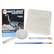 Arheološki komplet za izkopavanje Dinosavrovih okostij 3D Brachiosaurus Hologram