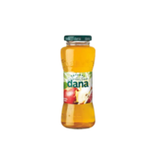 DANA JABOLKO 100% SOK STEKLO 0,2L