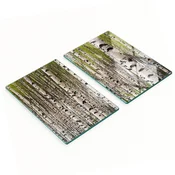 shumee Steklene kuhinjske servirne deske z grafiko brezovega gozda 2x40x52 cm
