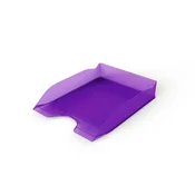 Predalnik durable basic DURABLE - PROSOJNO VIJOLIČEN
