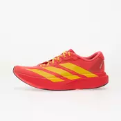 Sneakers adidas Adizero Evo Sl Lucid Red/ Bold Gold/ Semi Lucid Blue EUR 37 1/3