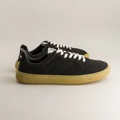 Fleeters Mango Black Gum