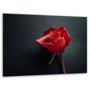 shumee Stojalo za sekanje steklenih deske 40x30 Rose