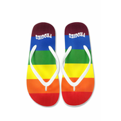 Mens flip-flops Frogies Rainbow