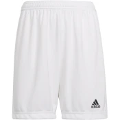 ADIDAS PERFORMANCE Športne hlače Entrada 22  črna / bela