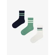 Penti Nogavice PENTI Jungen Greeny gestreifte Paar Socken mešane barve
