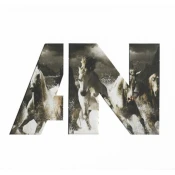 Awolnation - Run (CD)