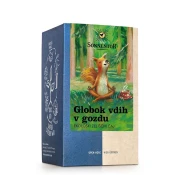 BIO ČAJNA MEŠANICA GLOBOK VDIH V GOZDU, 21,6 g