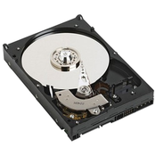 Dell NPOS - 1TB 7.2K RPM SATA 6Gbps 512n 3.5in Kabeld Hard Drive, CK (400-BJRV)