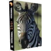 Oxybag A4 Jumbo škatla za zvezke Zebra
