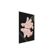shumee STEKLENA DESKA ZA REZANJE 35x52 HAND