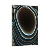 Canvas Slika na platnu Ahat Bocvana – Afrika, Sa ramom, 60 x 90 cm, Beli