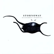 Stornoway - Beachcombers Windowsill (Reissue) (LP)