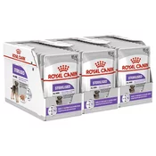 Royal Canin Sterilised Dog Loaf vrečka s pašteto za kastrirane pse 36 x 85 g