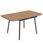 Homestar Vrtna miza 140x80x75 cm tikovina