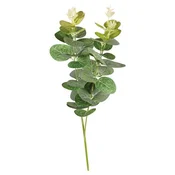 Rayher. Evkaliptus, vejica, 34cm