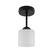 BRILAGI - LED površinsko pritrjen lestenec RETRO GLASS 1xE27/60W/230V premer 10 cm črna/bela