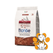 Monge Mini