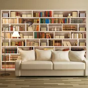 Samoljepljiva foto tapeta - Home library 392x280
