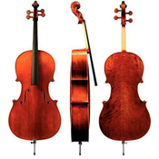 Violončelo Maestro 30 Gewa – različni modeli