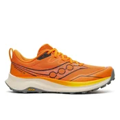 Saucony Peregrine 16
