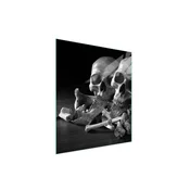shumee Steklena deska za rezanje 45x52 Skull