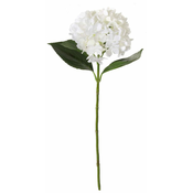 Shishi Bela hortenzija 66 cm