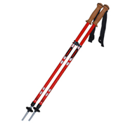 Planinske palice (Trans Alpin)