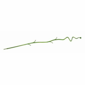 Prosperplast Opora za orhideje COUBI 4,2x60cm plastika, TRA
