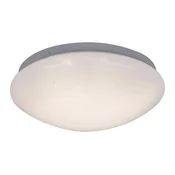 Rabalux Stropna svetilka 3936 Lucas, Mennyezety, LED 12W