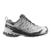 Ženska tekaška obutev Salomon Xa Pro 3D V9 GTX Alloy/Castlerock/Lunar Rock UK 7