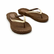 NW JAPONKE, (WLF22_142_BROWN-39)